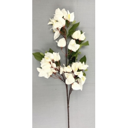 Bougainvillea White 30"